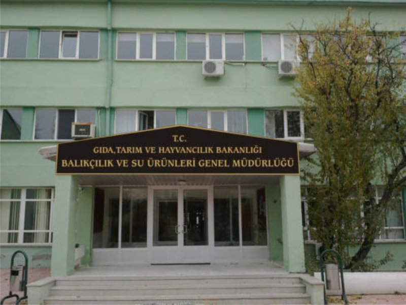 pirinç harf montaji ve uygulamasi